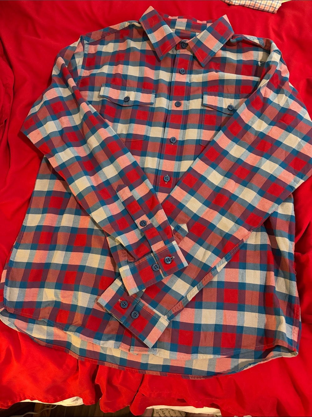 Patagonia Red, Blue & Cream Plaid Button-Down Shirt